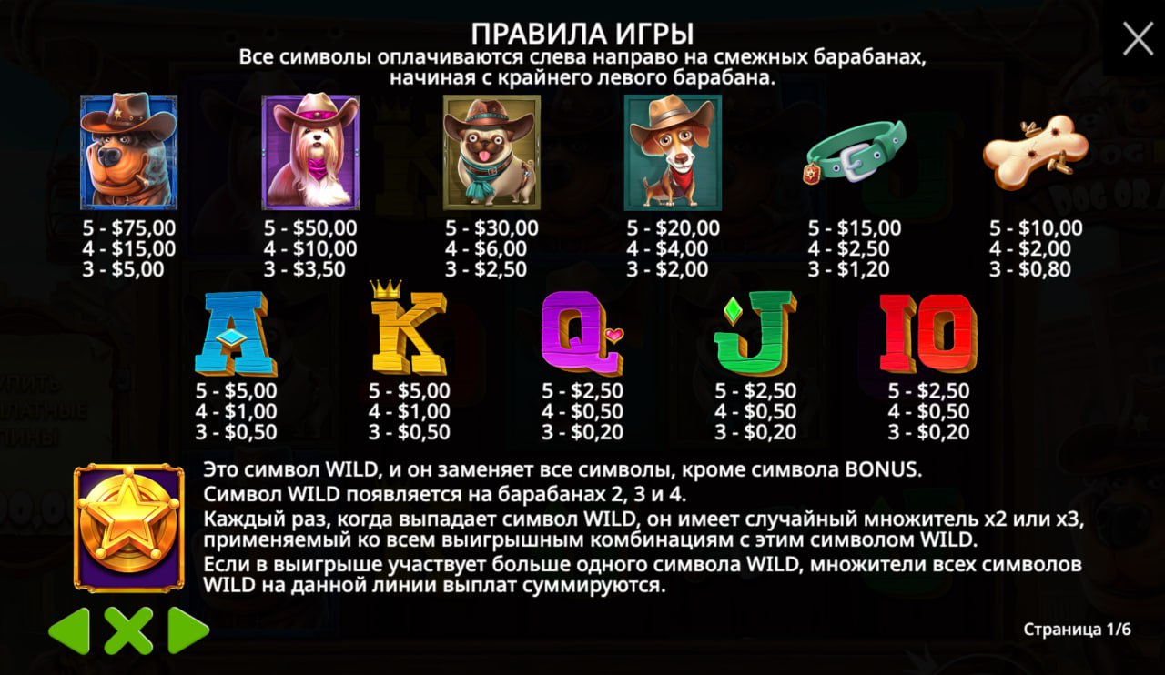 Символы The Dog House Dog or Alive