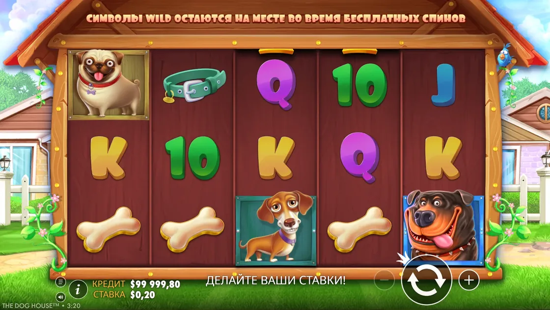 Базовый экран The Dog House во время обычной игры