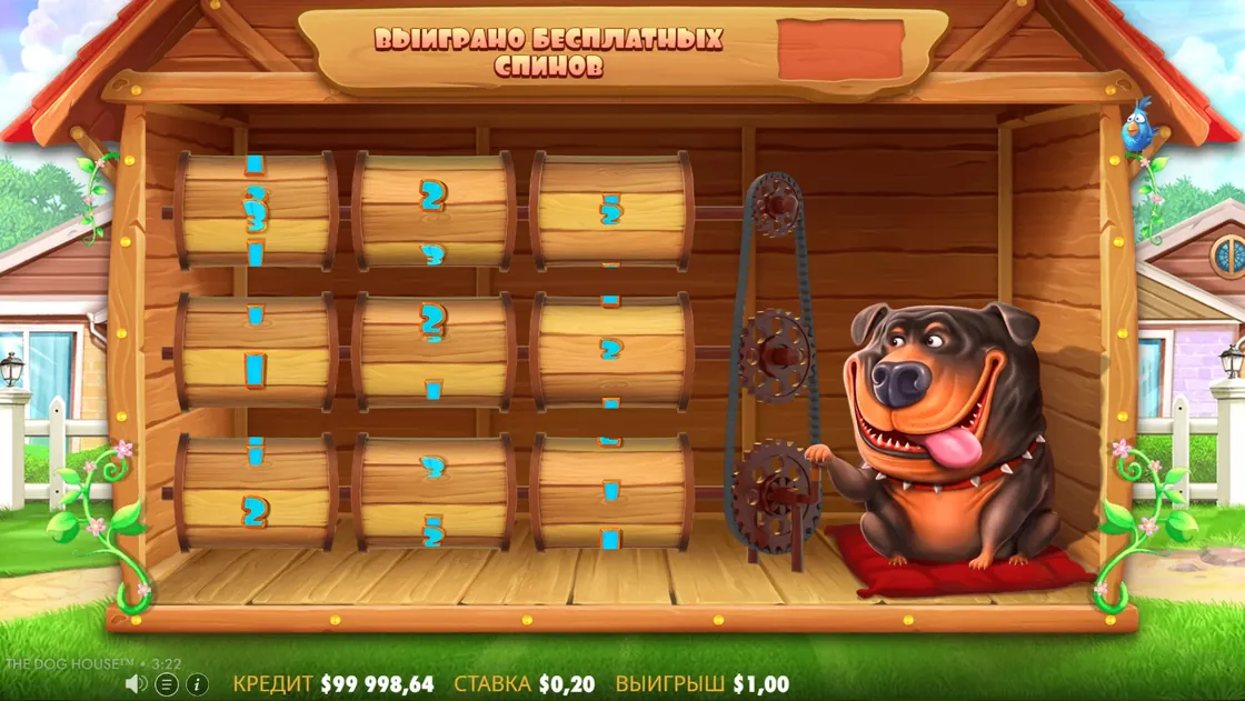 Экран определения количества бесплатных вращений в The Dog House