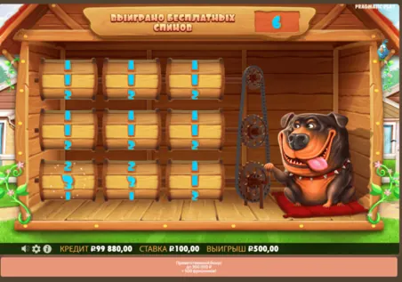 Экран определения количества бесплатных вращений в The Dog House