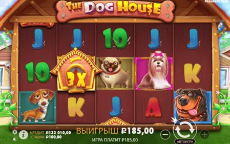 The Dog House в стандартном игровом окне, подходящем для мобильного запуска